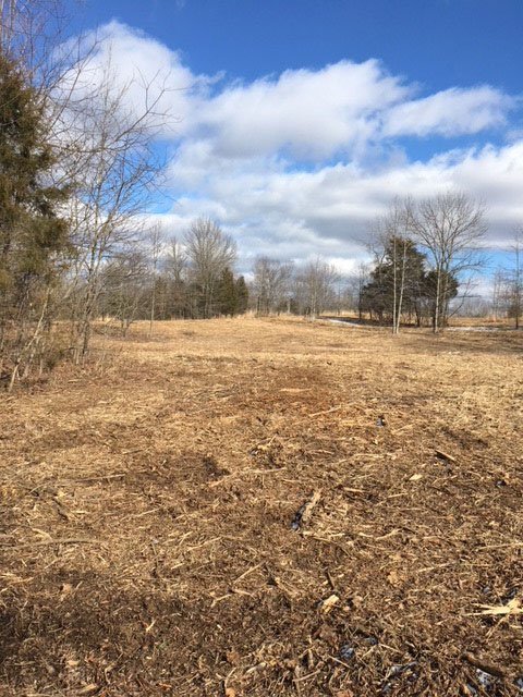 OhioDivWildlife's tweet photo. More improvements to hunting access and opportunities around the state! Recently in southwest Ohio, the Nature Conservancy completed a habitat project at Tranquility Wildlife Area: https://t.co/3miN9j1Ir3 #huntohio #improvingaccess #huntingaccess #tranquilitywildlifearea https://t.co/9NG5vDn0ls