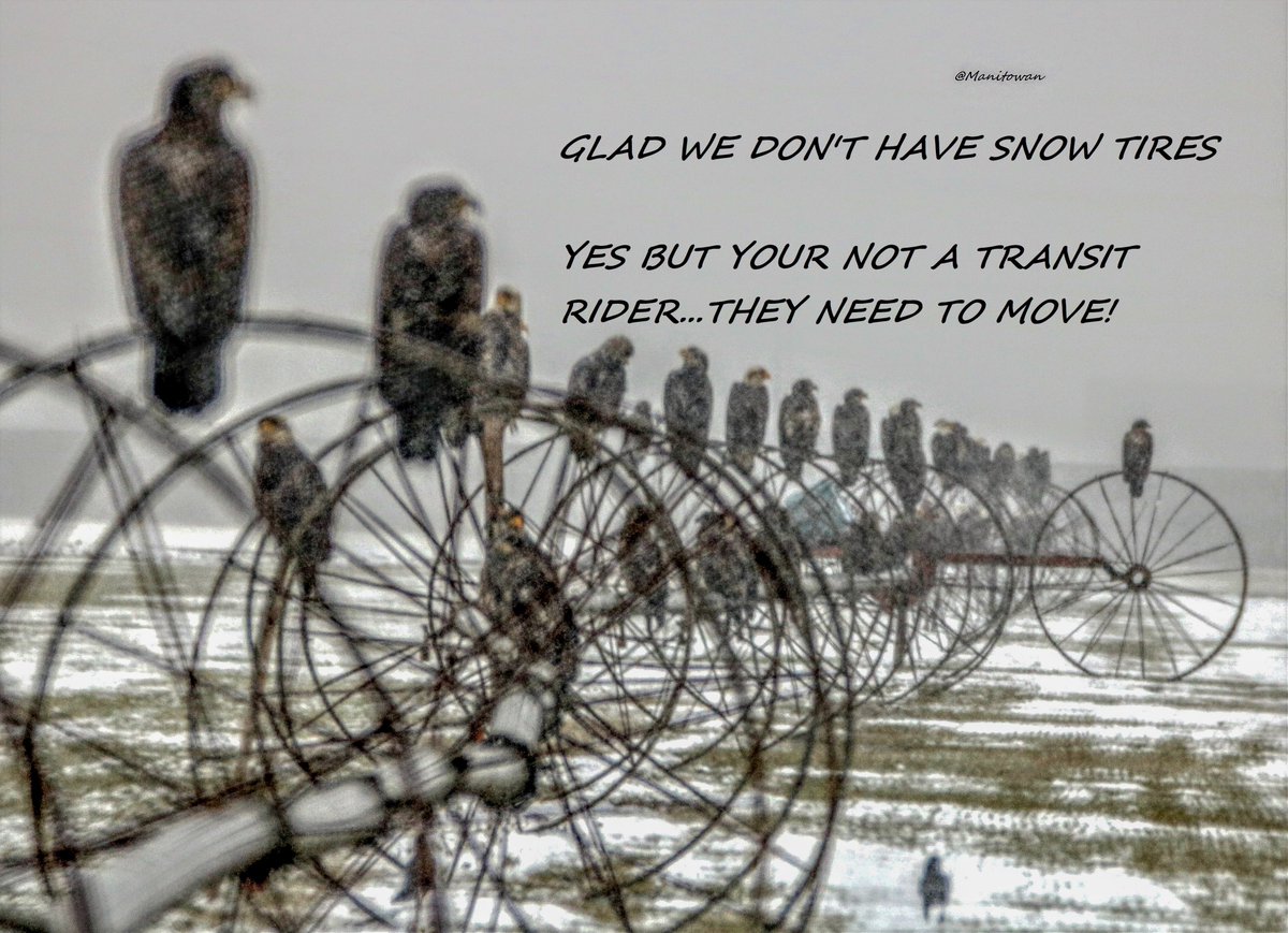 Manitowan's tweet photo. This is going to be one of those days in #newwest #Vancouver #Burnaby etc that transit riders hope #translinks bus tires are snow worthy. #bcpoli #BCStorm https://t.co/dzb4oRCzrL