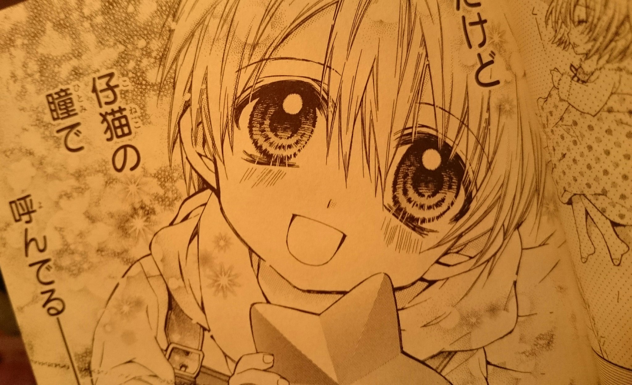 猫と私の金曜日 猫と私の金曜日 4／種村有菜 | 集英社 ― SHUEISHA ―