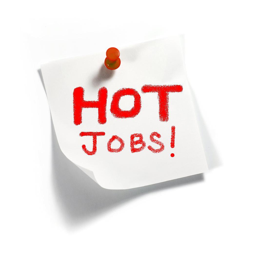 GetDentalJob1's tweet photo. HOT JOB! Need fill in #dentist for 3/1 in #Raleigh #NC #dental office. Apply today. #job 
https://t.co/hJPrCMaNGC https://t.co/yU1GRmDz3f