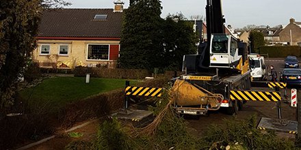 In de Bremstraat in #Dordrecht heeft #Allgroenbv zorg gedragen voor het verwijderen van twee bomen. Eén boom was door het zware noodweer van afgelopen maand omgevallen en blijven steken in een bijgelegen boom. Een gevaar voor bewoners: bit.ly/2EsD3yp. #boomverzorging