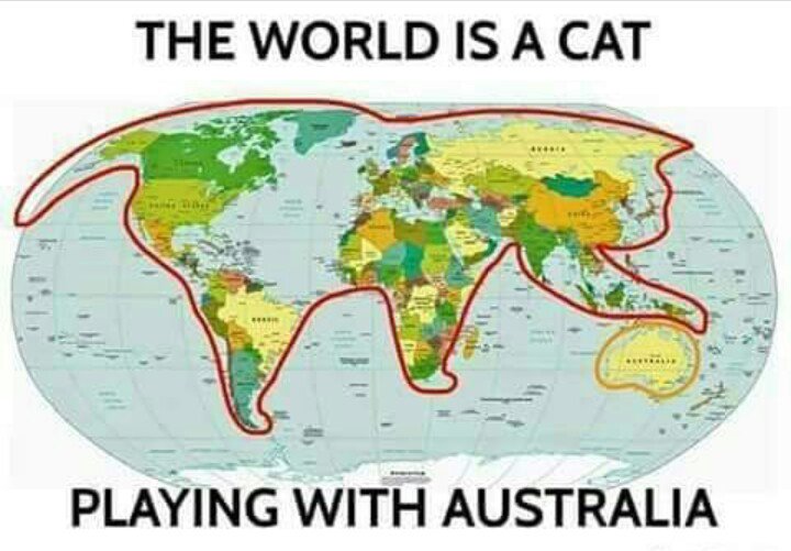Sagodizo's tweet photo. 🐈worldcat #mylittlegeography #mtotowazolamen #iliwabambasana https://t.co/uNNUgrPI5K