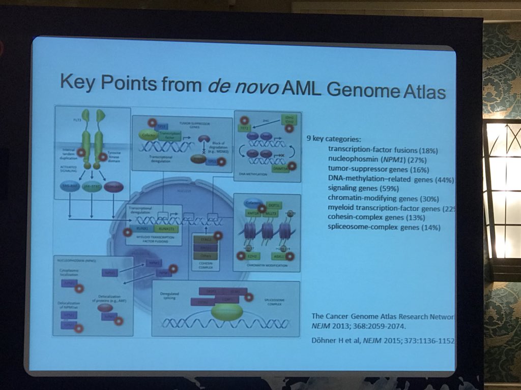 aperillaglen1's tweet photo. Dr. DeAngelo talks about mutations that present a poor prognosis in AML and Key Points from de novo AML Genome Atlas at the #HOPE2018 educational meeting in Cairo Egypt. https://t.co/t65dQg3DgZ