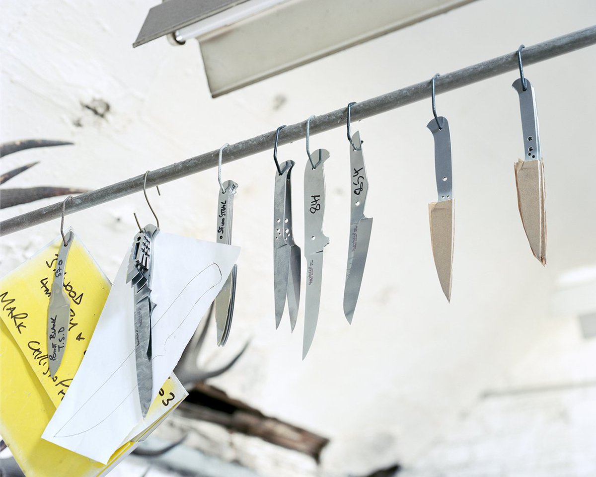 Black Dog Represents tweet media