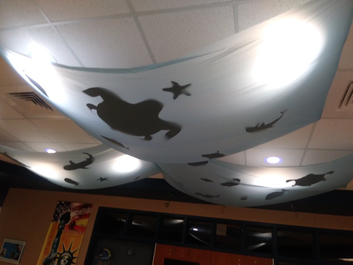 Luau Day at Hearn Elementary!
#Hearnhornets
#OneTeamFCS