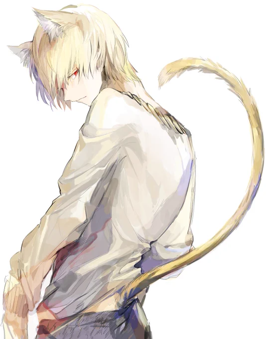 ねこ 