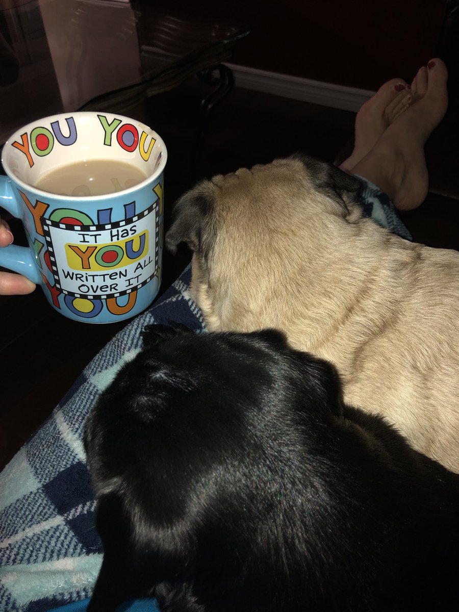 missheather74's tweet photo. Dog days of winter!!! Morning tea and 2 pugs.....#mynormal #letsgetthisdaystarted #cuddlepugs #crazypugs #itsadogslife https://t.co/hzLMmnjefu