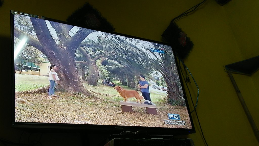 rgclothinghub's tweet photo. PARA-PARAAN HAHAHA #SherlockJrHinala @_gabbigarcia @Rurumadrid8 https://t.co/VjnqOgdofK