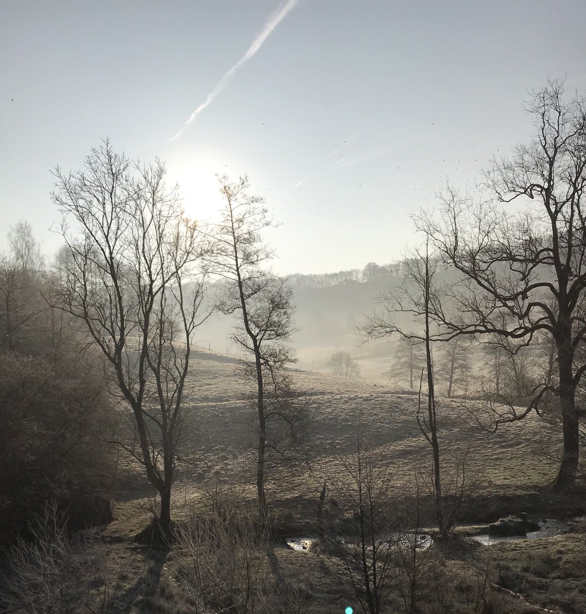 Just one of those mornings in #Newland.