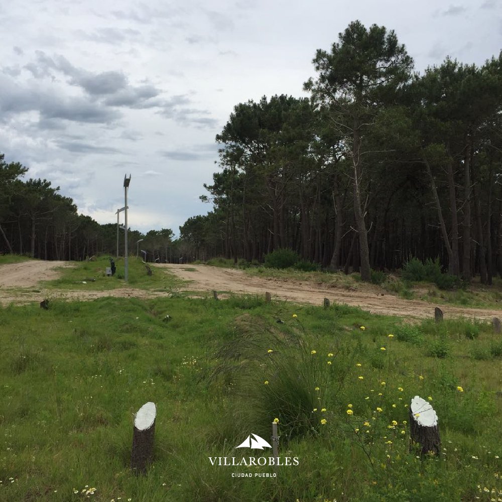 Las calles de #Villarobles cuentan con luminarias de diseño exclusivo a lo largo del recorrido.