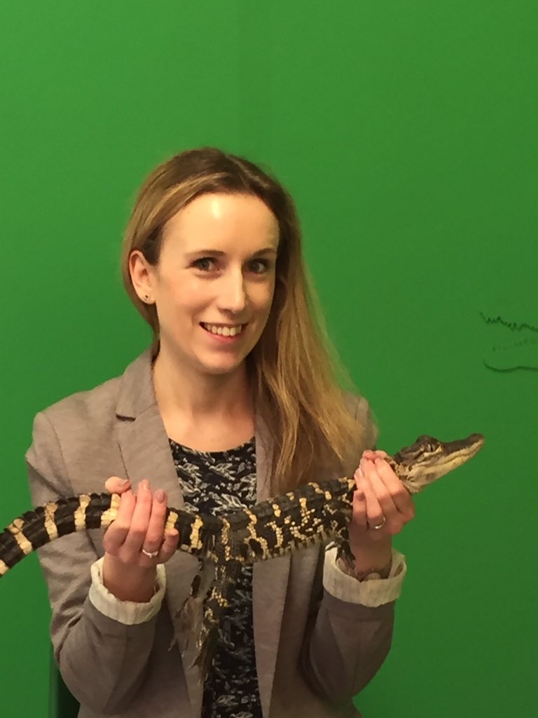 Keeley_Rodgers's tweet photo. Met Ricky this morning, a three-year-old American Alligator. Then met Ricky's dad Albert...at the age of 20, he weighs 180kgs and is just over 10ft long! @CrocsOfTheWorld #worksnaps https://t.co/LlPn4OsZ3W