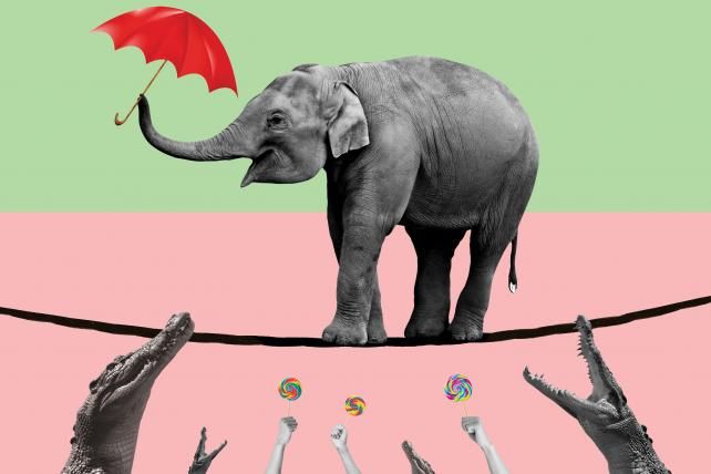 useblacklabel's tweet photo. A marketers greatest asset: Risk. 

Risk Is an Asset, Not a Liability. Here Are Three Ways to Learn to Love It

https://t.co/MxOAdYwz7r #marketing #takearisk https://t.co/GipvwMNiXp