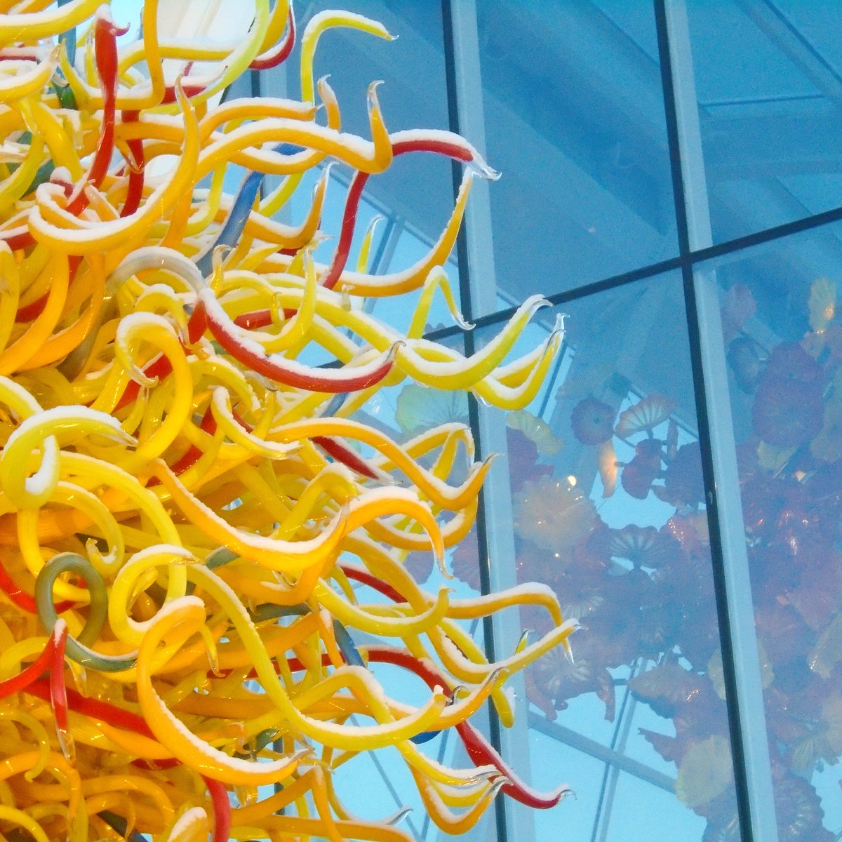 ChihulyGG's tweet photo. Today’s forecast: More #snow and a little bit of sun...Chihuly’s #PacificSun. #HappyFriday https://t.co/yvCEAvWQ4H