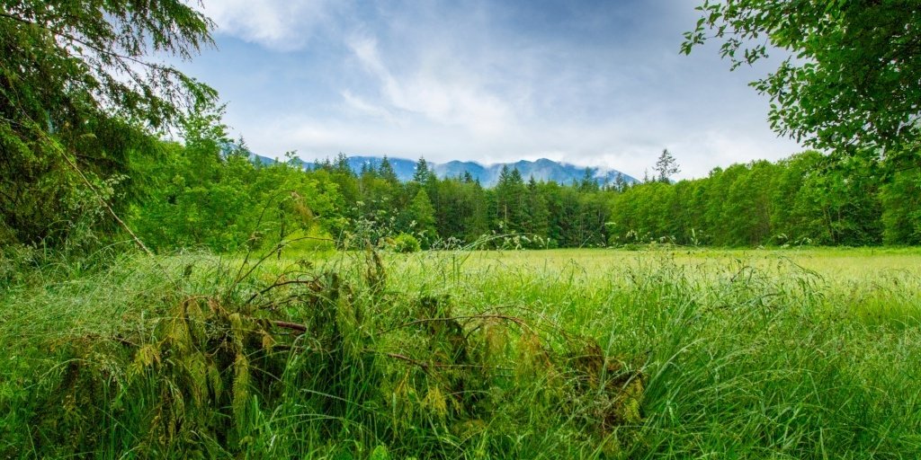 Land Trader tweet media