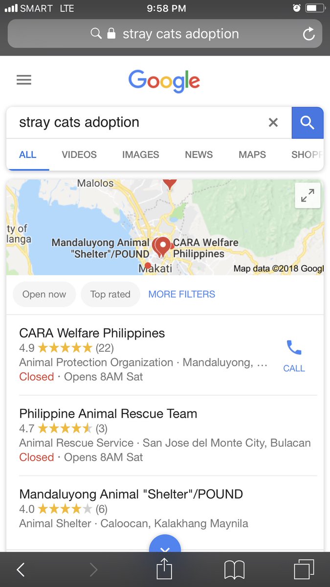 ChiliMedley's tweet photo. I just read the statement of #Pestbusters about the missing #CatsOfBGC, saying they researched about what to do with the cats.
I wonder what kind of research they did. I only had to google “stray cats philippines” and “stray cats adoption”. I had the right answers in seconds. https://t.co/veMssAoMO7