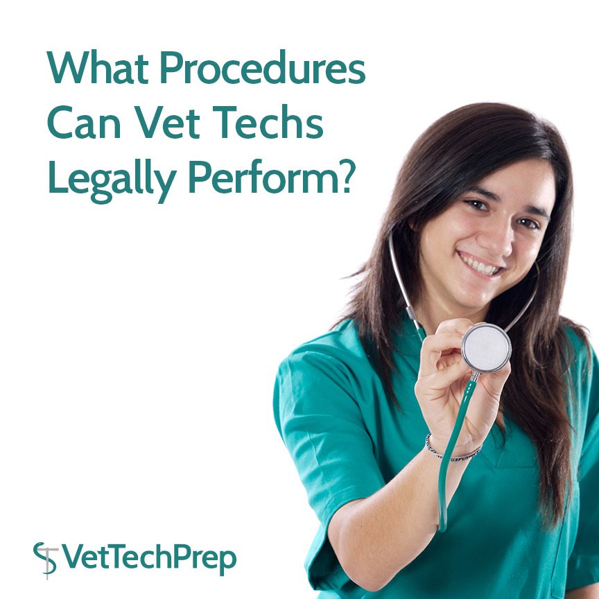 VetTechPrep's tweet photo. What Procedures Can Vet Techs Legally Perform? https://t.co/dVhMChyrVW by @TheSavvyVetTech #VetTechPrep #VetTech https://t.co/88v0ZEqrP4