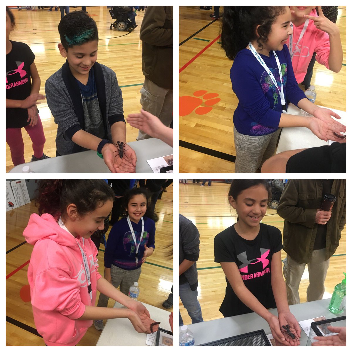 MrsGordonFO's tweet photo. I'm glad some of my class was able to make it out to STEAM Night last night! We have some brave kids in Room 112! #FORocks @FOpanthers https://t.co/k83Hn4L4n4