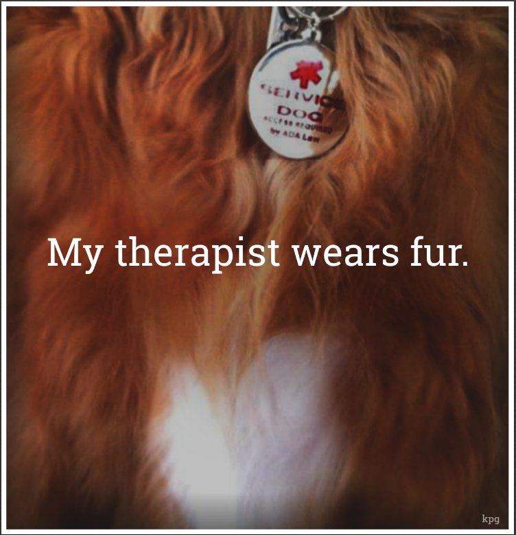 OutOfTheAshes07's tweet photo. #ServiceDogsRock #FridayMotivation #CPTSD 
                                                   True story... https://t.co/Wj9GL1HPjg
