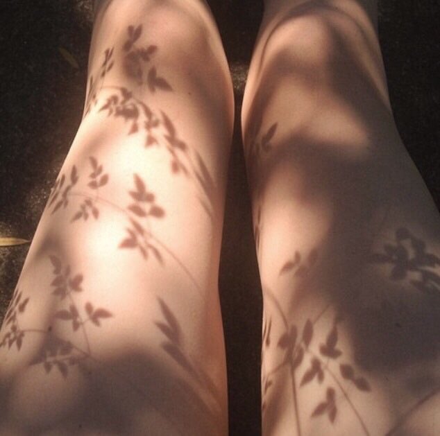 𝒎𝒐𝒐𝒅𝒆𝒍𝒊𝒄𝒂𝒕𝒆 (@moodelicate) on Twitter photo 