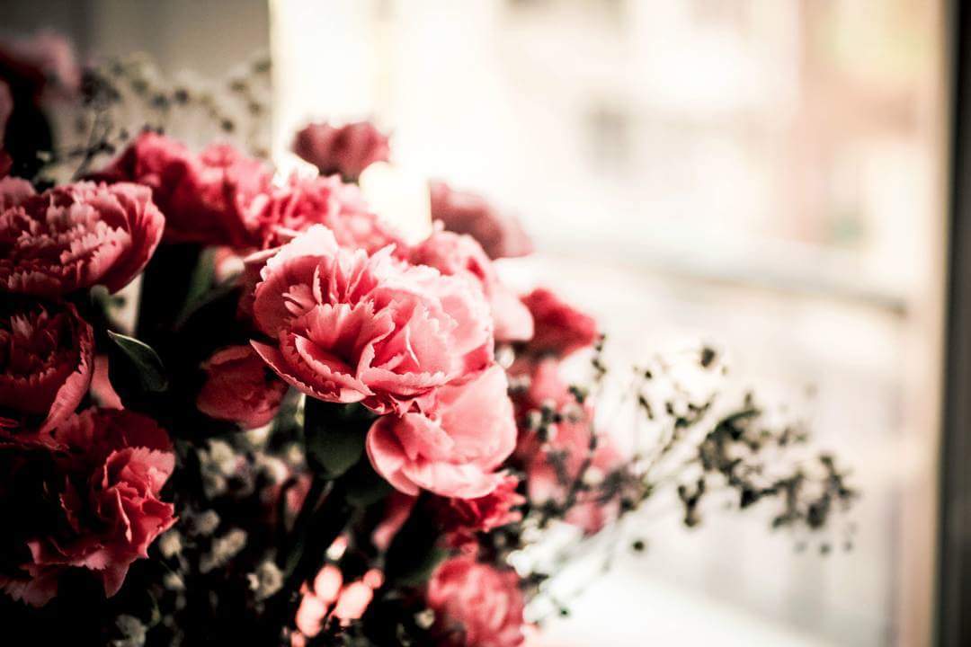 pencerelerim var hâlâ 
yolunu gözlemek için.

cengizhan konuş