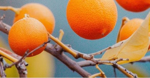 LECHealth's tweet image. As a brand communications agency, our work often involves twinning complex scientific concepts with attention-grabbing creativity. 

Want to find out more about our creative initiatives? Our Orangery Ambassadors are ready and waiting to tell you !
lnkd.in/dnt6v4J