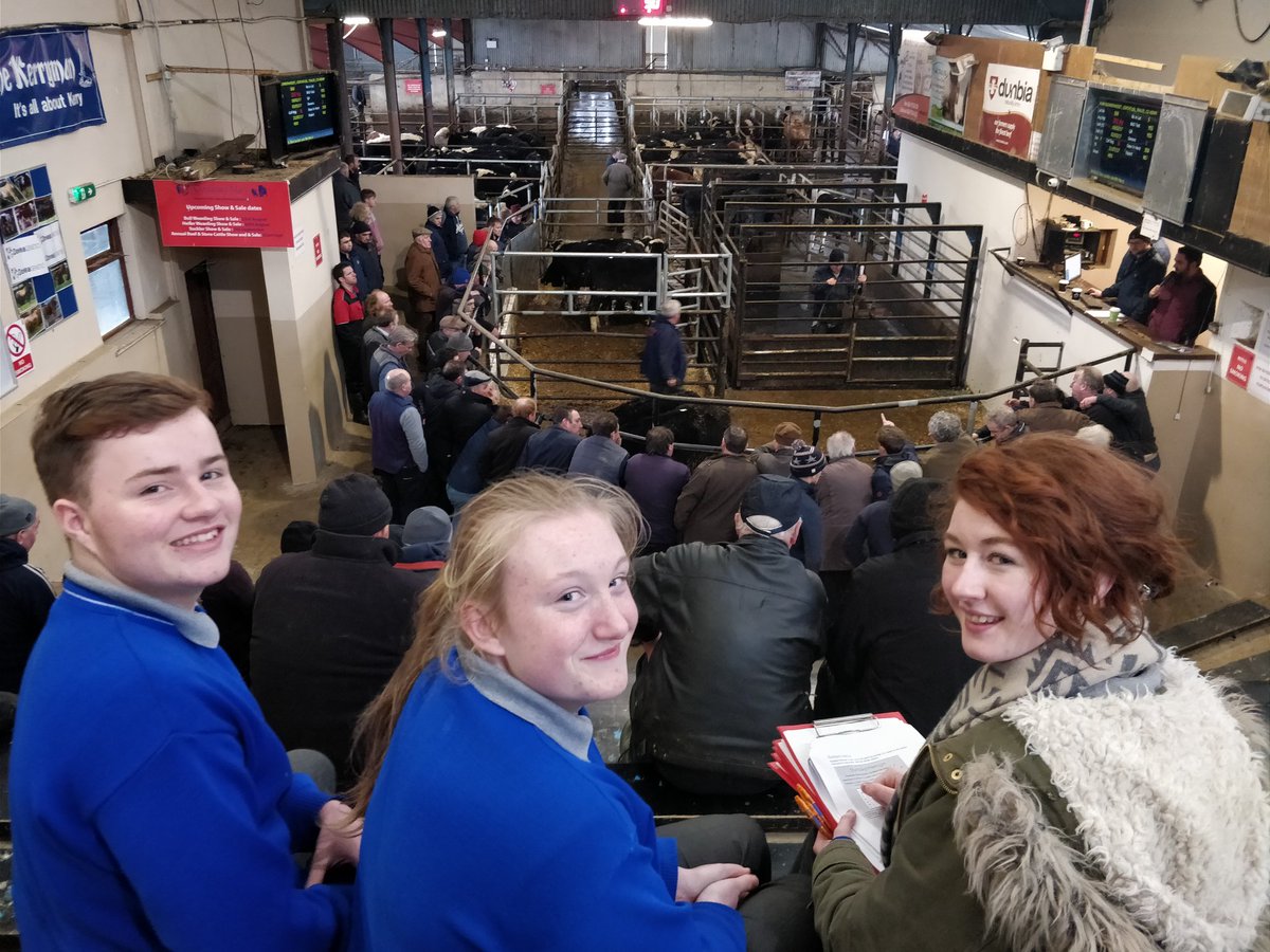 IrishAngus_CCC's tweet image. Here in Gortatlea Mart to meet with local farmers to discuss with them the benefits of the Irish Angus Beef breed. #certifiedirishangus @AberdeenAngusIE