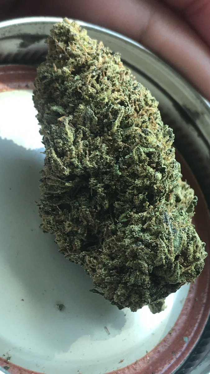 coffeejane420's tweet photo. Happy Friday this was one big mug I found from my mandarin cookies so I’d just like to share it 💜 #bignug #big #weed #mandarincookies #marijuana #cannabis #CannabisCommunity #CannabisMedicinal #MedicalMarijuana #smoking #HappyFriday #FridayFeeling #FridayMotivation #420friendly https://t.co/yBP4tAIVq9