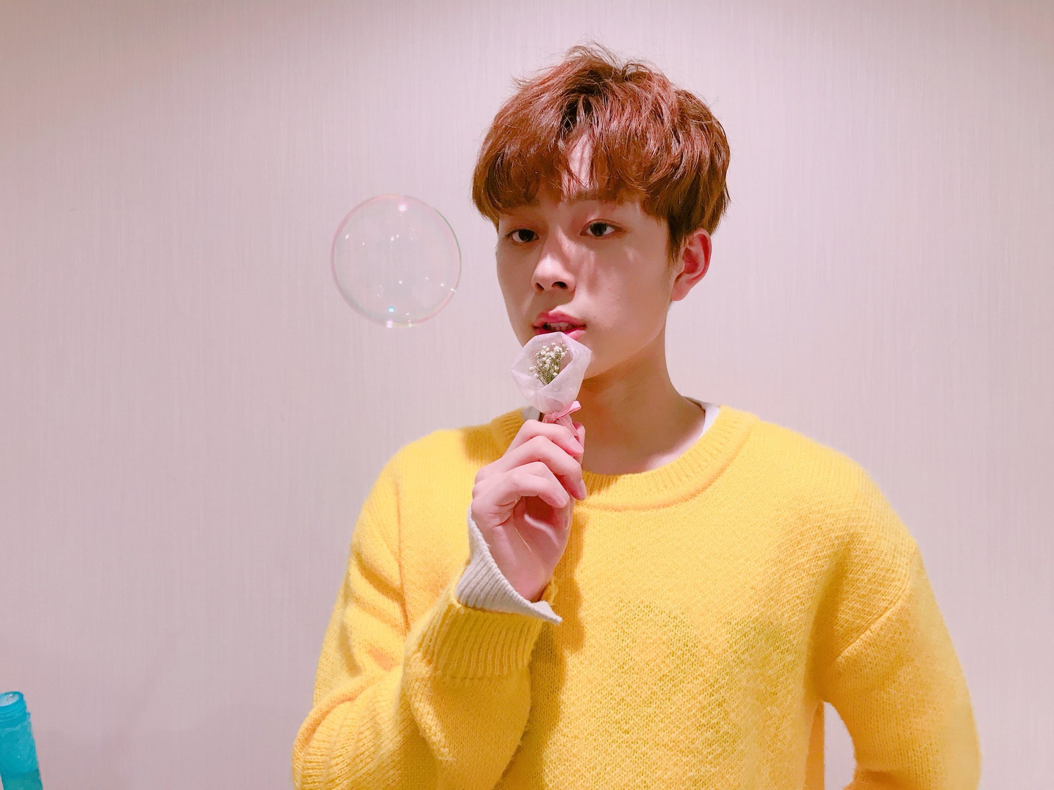 파 이 무 かすみ草をプレゼントしたのにはちゃんと理由があります ユソノちゃんへの手紙には 知らなかったら花言葉 を調べてみてね って書きましたが かすみ草の花言葉を韓国語で調べると 永遠の愛 死ぬほど愛してる と出ます 調べたのかどうかは