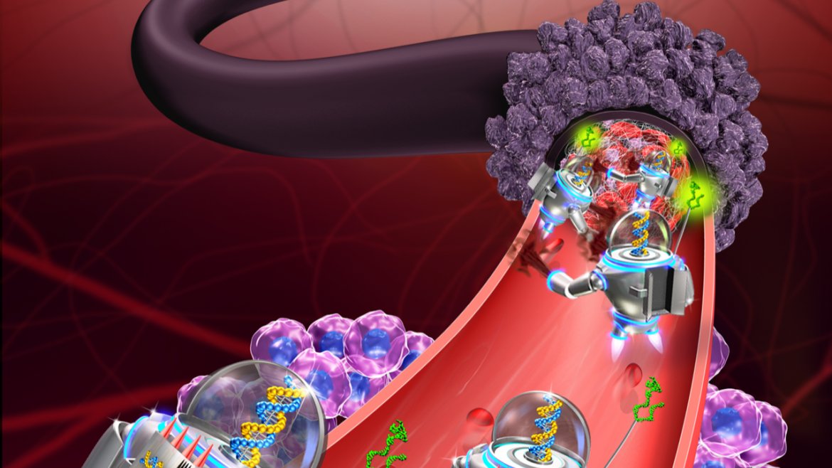 ASUResearch's tweet photo. ASU scientists have successfully programmed nanorobots to shrink tumors. https://t.co/Aa9JhYDHTZ https://t.co/pt68BDOQEU