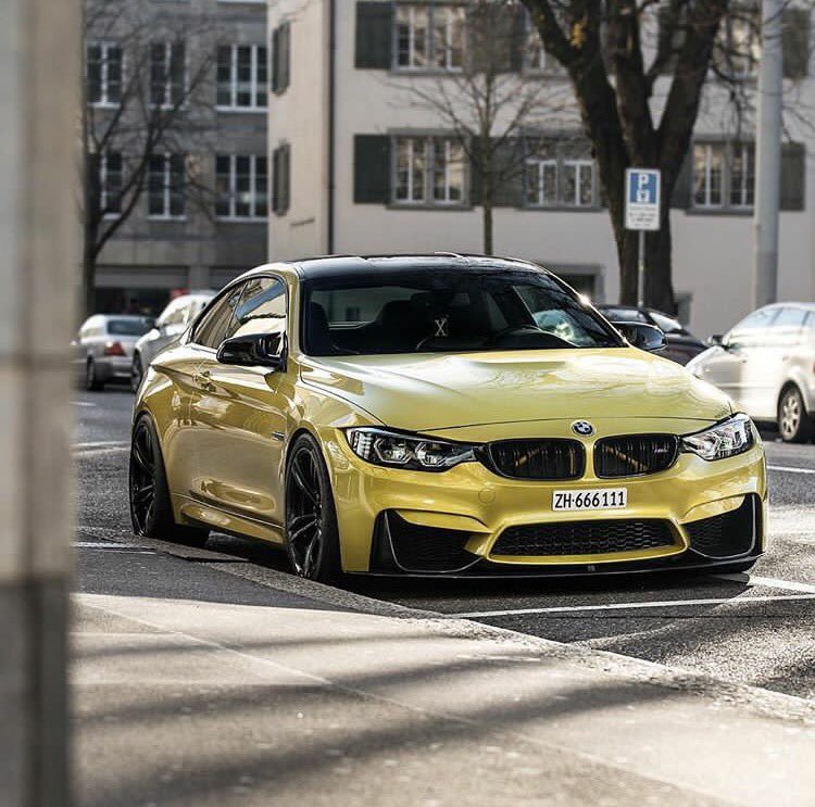 WisdomCentre101's tweet photo. Golden M4 https://t.co/bAoFf8J72V