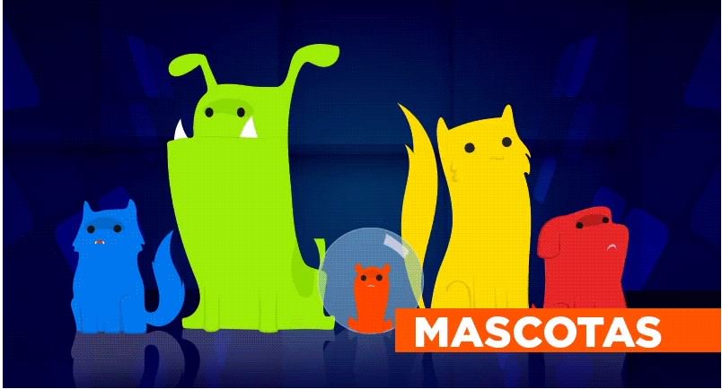 RedMasTv's tweet photo. 🐶🐱#EstamosHechosDe alegría y por eso los sábados y domingos @pajarootelo, nos muestra junto a Mark Lee, la mejor manera de hacer feliz a nuestras mascotas.  #MiMascota. 😍❤️ https://t.co/Lvm4iUOobv