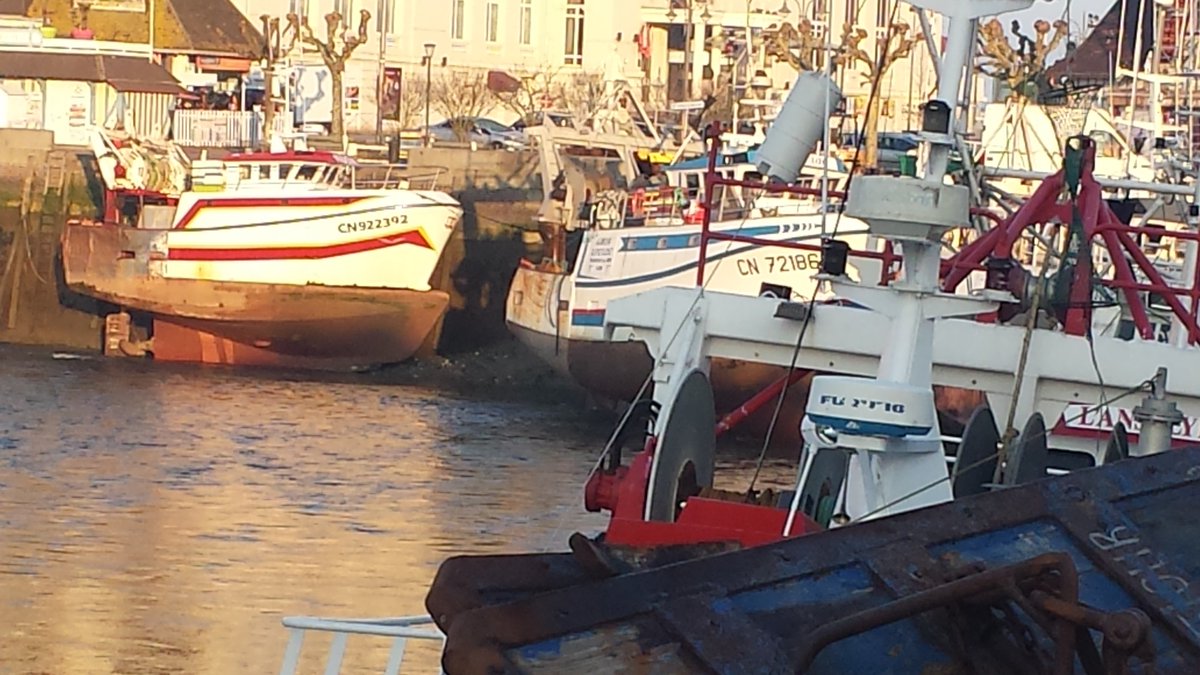 NormandieRando's tweet photo. Un petit tour sur le port de #Trouville... Profitons de la dégustation de #coquillesstjacques avant la fermeture de la pêche...!
Let's enjoy fresh #scalops before the end of the catching season ...! https://t.co/W34ptNGQXF