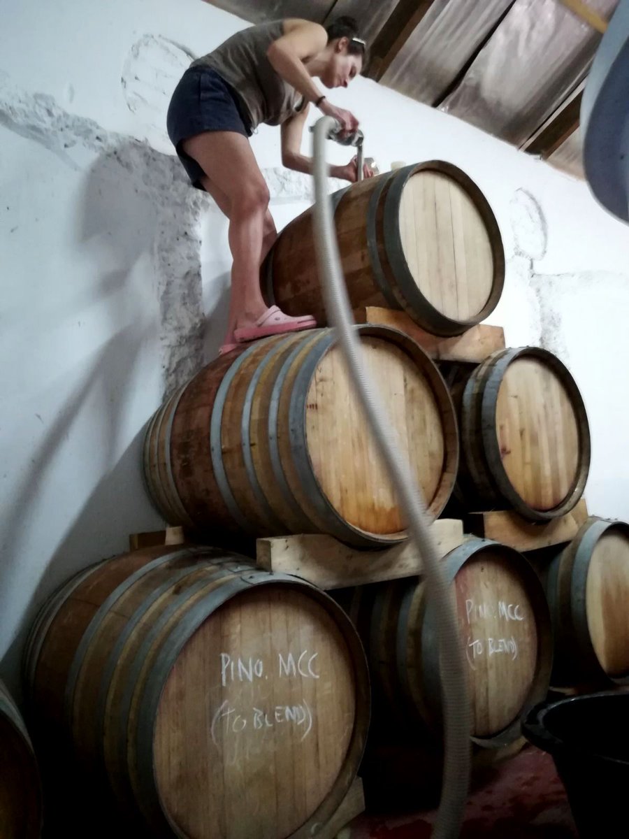FynbosEstate's tweet photo. After 3 weeks once again making wine here this year, it’s time for Andy and Becky to go home to the UK. We are all sad! Not only are they critical to the winemaking process but they get on wonderfully with Charlie and Doubt who help in the winery.#fynbosestate  #roseandprotea https://t.co/BFc3KePmoC