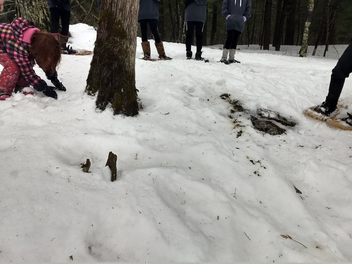 I love being out in the woods and seeing evidence of life!