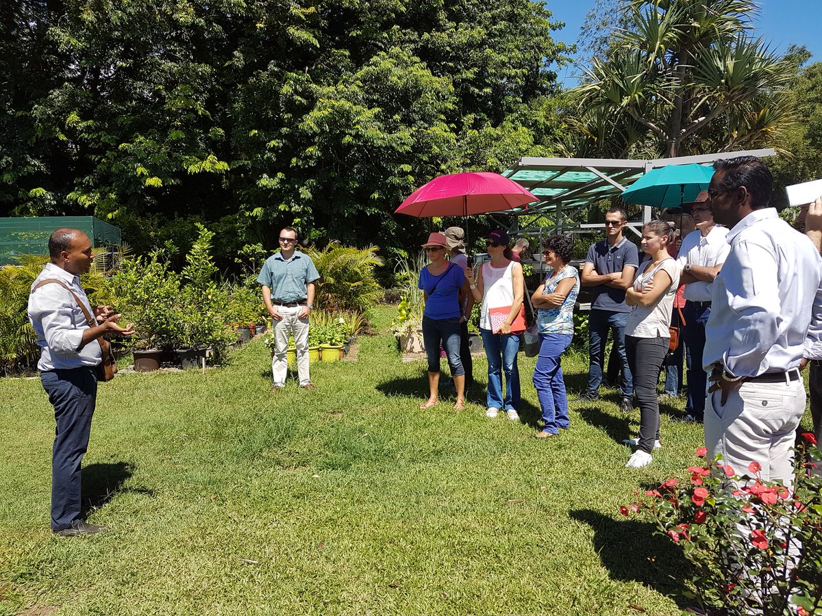 Formation EDD au collège de #CAMBUSTON, une approche de terrain:jardins partagés, aquaponie, espèces endémiques... Les référents EDD se mettent au vert!😉 <a href="/EDD_AcReunion/">EDD_Ac-Réunion</a> @Cardierun @Clg_BrasPanon <a href="/Eco_Ecole/">Programme Eco-Ecole</a> <a href="/ClaireSmha/">Claire Samaha</a> @academiereunion <a href="/departement974/">Département de La Réunion</a>