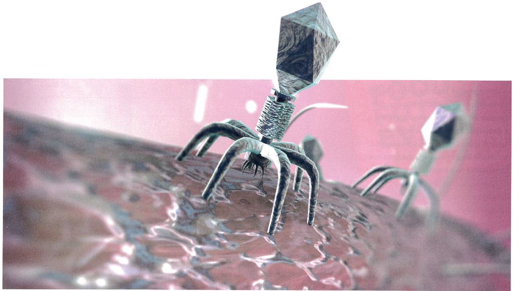 RoyAndries's tweet photo. PhageGuard &amp; Micreos are featured in the most recent edition of VMT magazine! Take a look at the interesting world of phages and the value that phage technology has to offer!. 
https://t.co/DjrqMXjjU1 #phages #FoodSafety #fagen #listeria #bacteriofagen #HACCP #hulpstoffen https://t.co/KaI6t5aFiG