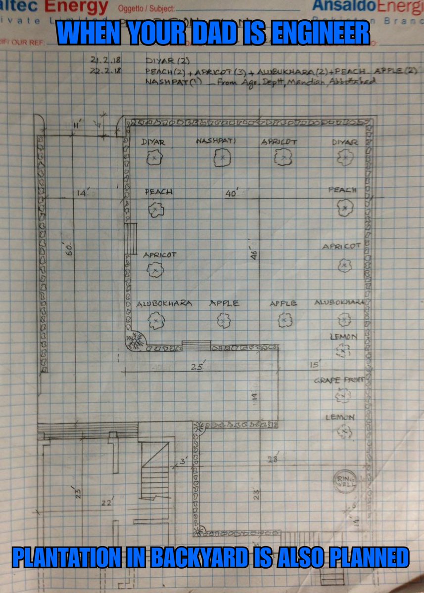 MadihaPanni's tweet image. When your Dad is engineer everything has to be properly planned and executed👌 #engineerdad #Engineer #plantationplanningforbackyard @AzharPanni
