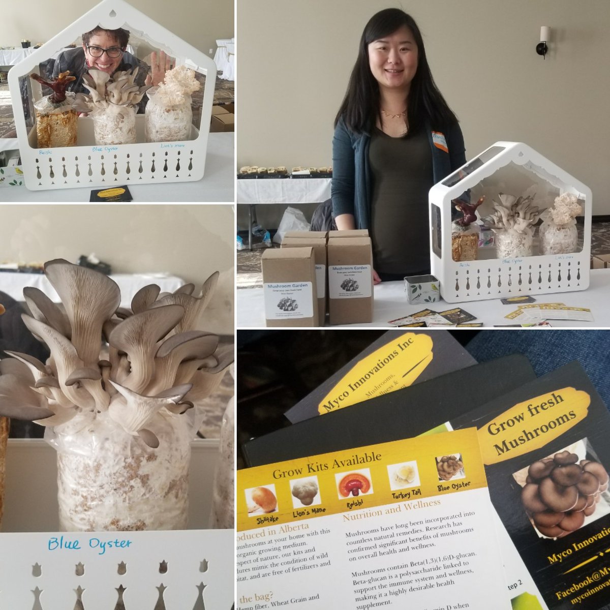 Meet Chanchan from #PlanetMushrooms #MycoInnovations She's one cool lady and the mushroom maven behind this gr8 home kit. Who wants to grow some mushrooms?!! 🍄🌱 #growfresh #coolsuppliers #growerday #Evergro @1BIOBEST @Canbiobest #growclean #learnit