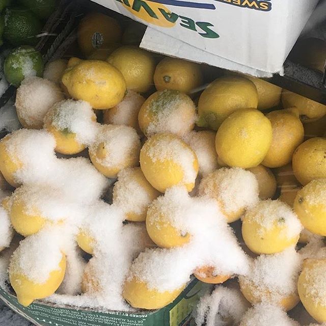 After an hour of trying to get to the shop we are calling it a snow day and you probably should too. We’ll be back tomorrow 10-6. Brave it and come shop our new arrivals 🍋