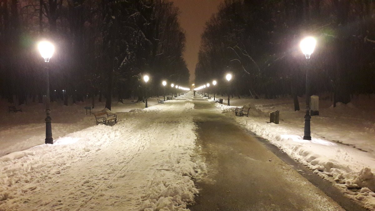 Samwise313's tweet photo. Slightly more wet than freezing winter wonderland https://t.co/StqUjfX5Wq