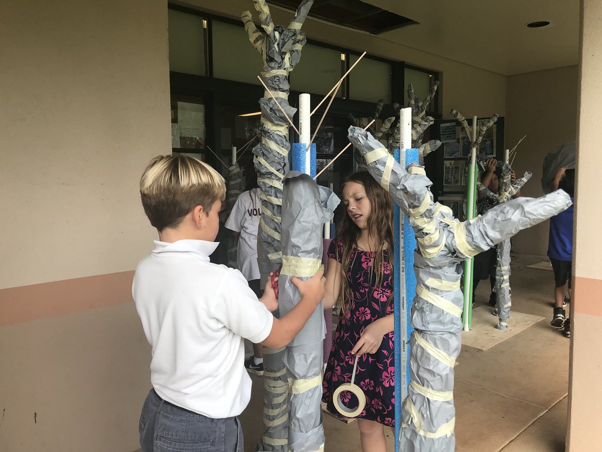 This is what ʻBuilding an ʻŌhiʻa Forest’ looks like! #handson #stem #4thgrade #alohaaina