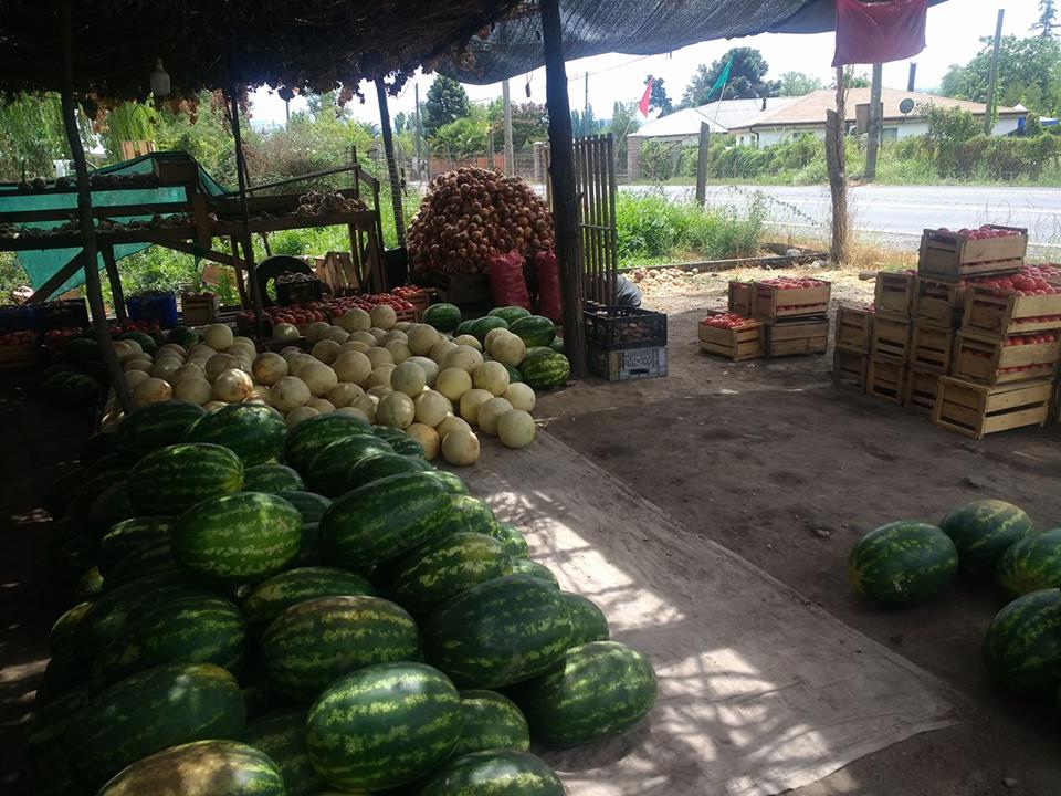 memoriacampesin's tweet photo. Comprar directo del productor, implica: freso, buena calidad y bajo precio.
Sandías $ 800, melones $ 400, lechugas $ 200 Cajón tomates (12 Kg) $ 3.000.-
Por favor, no se les ocurra ir a pedir descuento, Ud. no hace eso en el supermercado. Comuna #SagradaFamilia #Curicó https://t.co/gwuy3fzkTD
