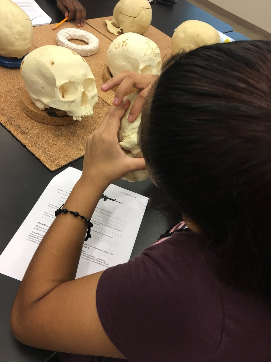 Ms. Dohme tweet media