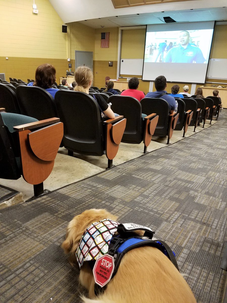 Kobalt_IST_Gold's tweet image. @USFEngExpo #neuromachine InteractionLab NOT ScienceFiction. It’s #braincomputerinterface. Sensors acquiring #braindata. Future: Way for my humans to know what I’m thinking? #neuroscience #STEM #technology #computerscience #engineering #foodallergy #servicedog #goldenretriever