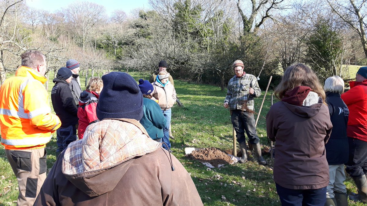 Devon Bat Project tweet media