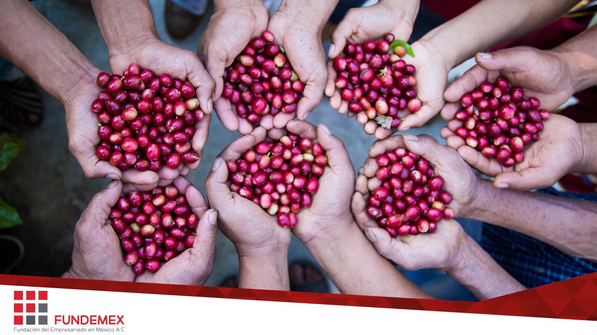 El 21 de feb en el marco de la alianza por la Sostenibilidad FUNDEMEX y <a href="/CesmachOficial/">Cesmach SC Oficial</a>, se reúnen en la <a href="/AMEXCID/">AMEXCID</a>  para trabajar en el proyecto del cafetal a la taza, junto con otras empresas líderes.