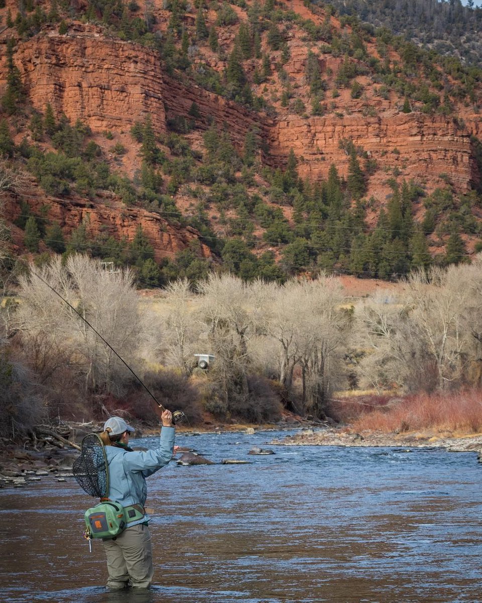 flyandstream's tweet photo. Those moments when it’s just you, a looping fly, and the tranquil sounds of the water as nature bustles around the fading half-light of the canyon – these are the moments a #flyfisherman lives for.
#flyfishing #flyandstream #repyourwater #onthefly #findyourwater https://t.co/v7SUs960QO