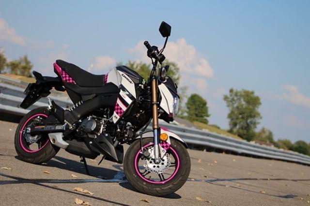 CristyLee09's feeling the Pink Checkered #myZdesign D'COR Visuals