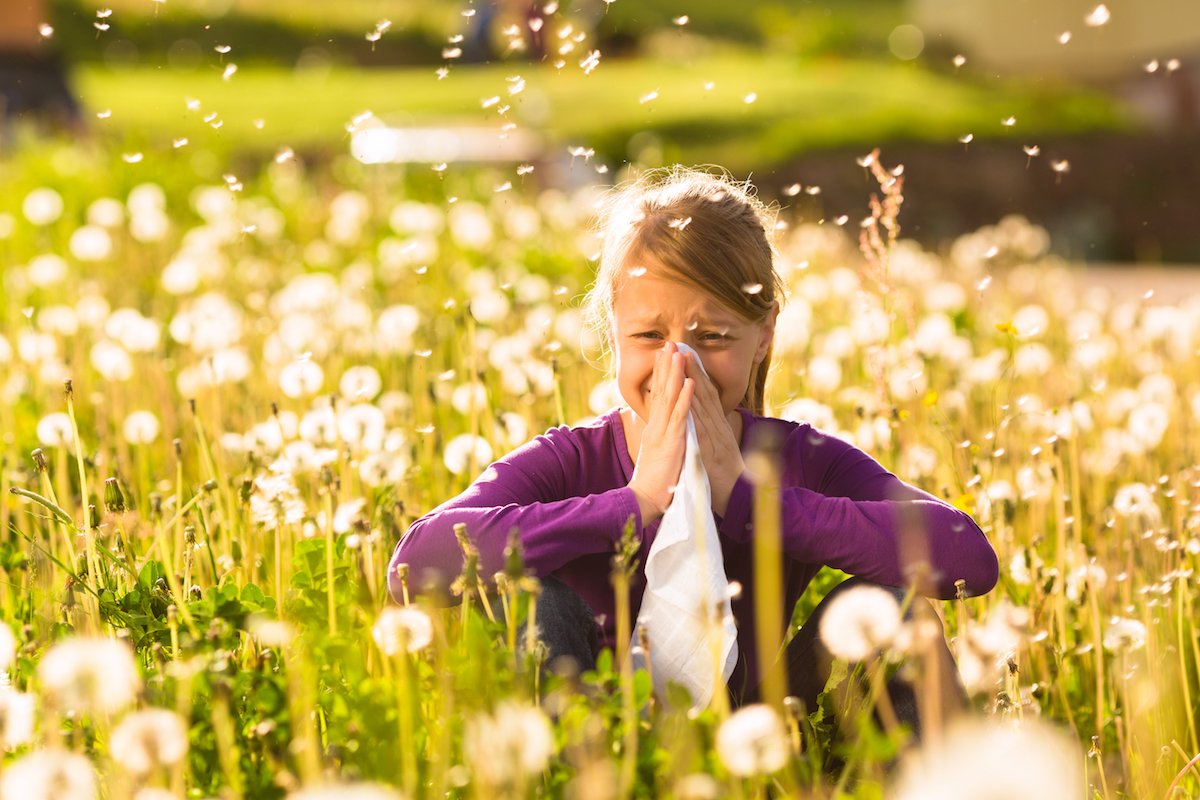 Common Allergy Triggers (ow.ly/cZ1l30hQhsN)
#allergytriggers #mold #insectstings