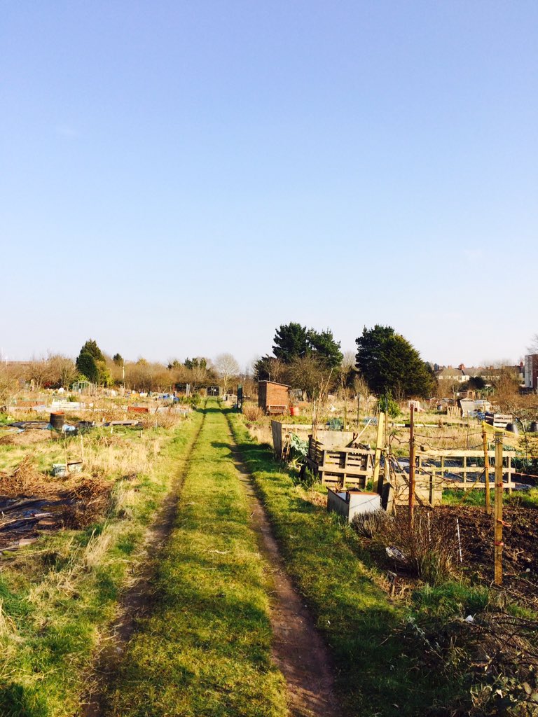 FlaxlandPlots's tweet photo. Who managed to get down @FlaxlandPlots today? Bit fresh however beautiful day 🌞 https://t.co/9Sk5GInrEf